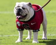 Uga